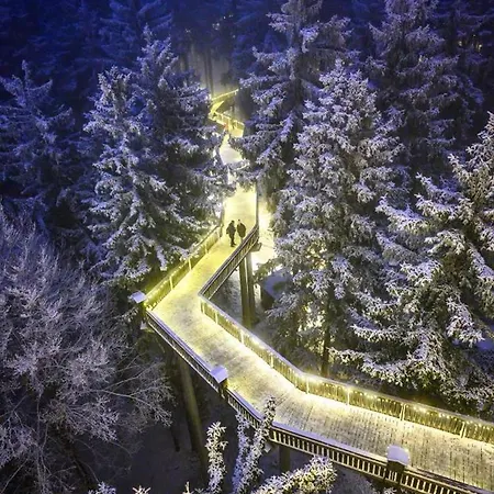 Kleine Auszeit Apartment Sankt Englmar