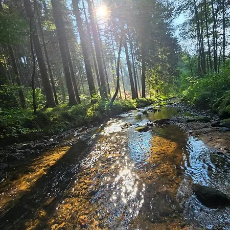Kleine Auszeit * Sankt Englmar