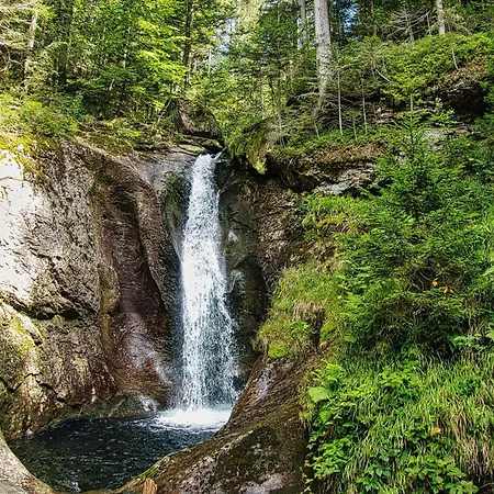 Kleine Auszeit 아파트 *